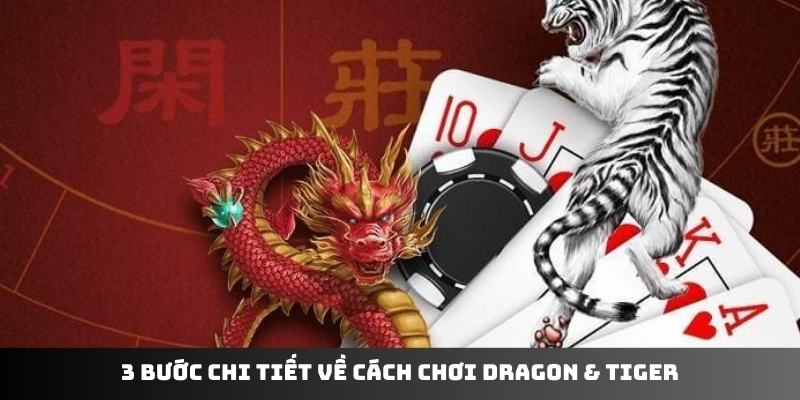 3 bước chi tiết về cách chơi Dragon & Tiger