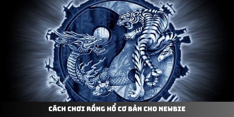 Cách chơi Rồng Hổ cơ bản cho newbie