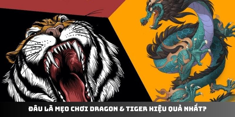 Đâu là mẹo chơi Dragon & Tiger hiệu quả nhất?