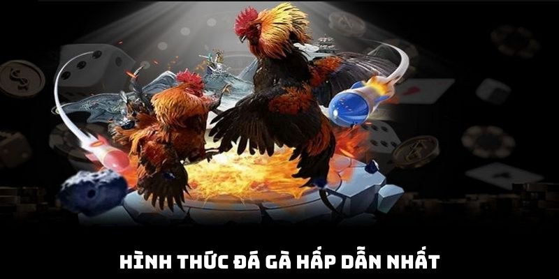 Hình thức đá gà hấp dẫn nhất