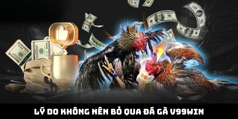 Lý do không nên bỏ qua Đá gà V99Win