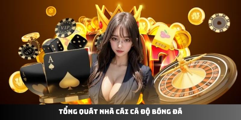 Tổng quát nhà cái cá độ bóng đá